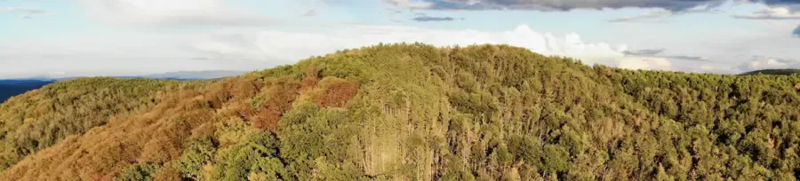 Túrák, táborok, workshopok