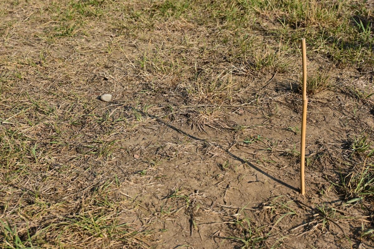 Iránytű botból és kavicsokból