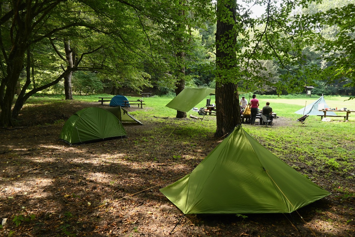 Vadkemping workshop - Pilis