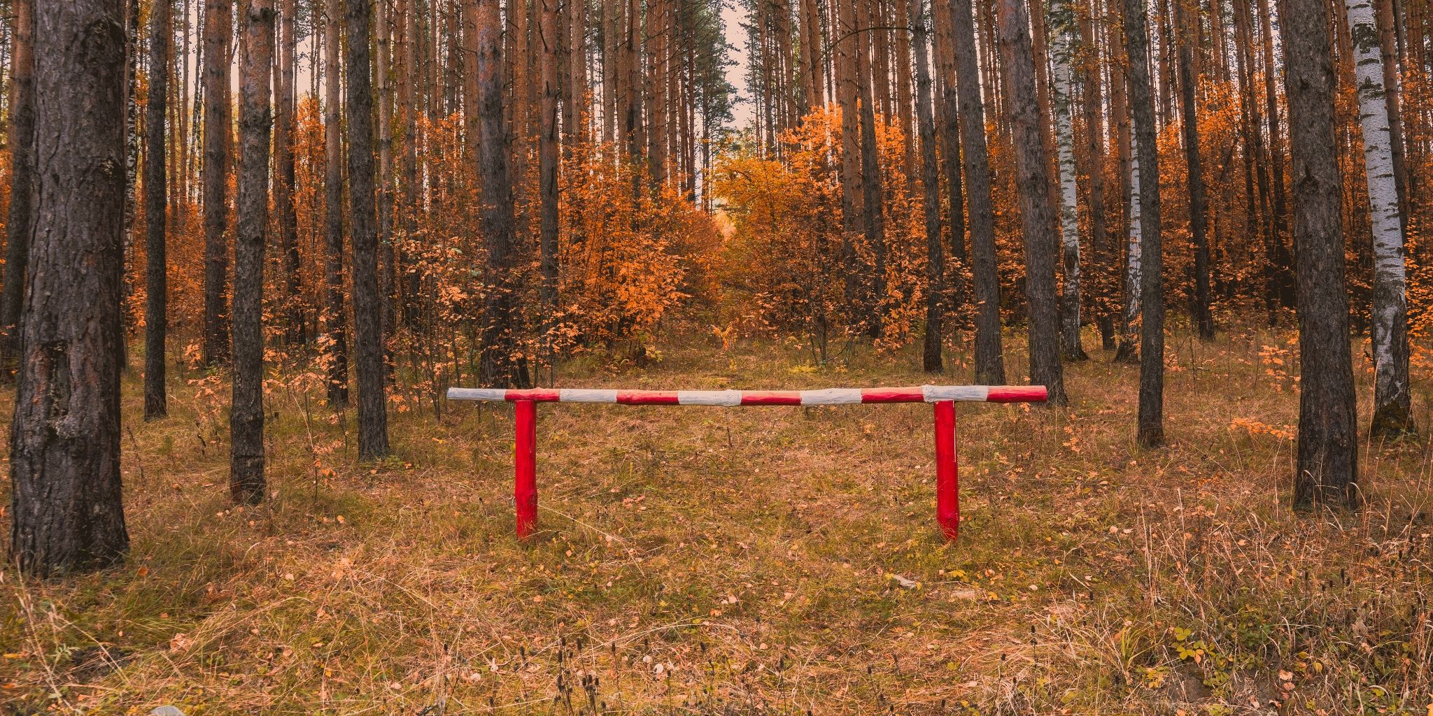 Erdőlátogatási tilalmak és korlátozások